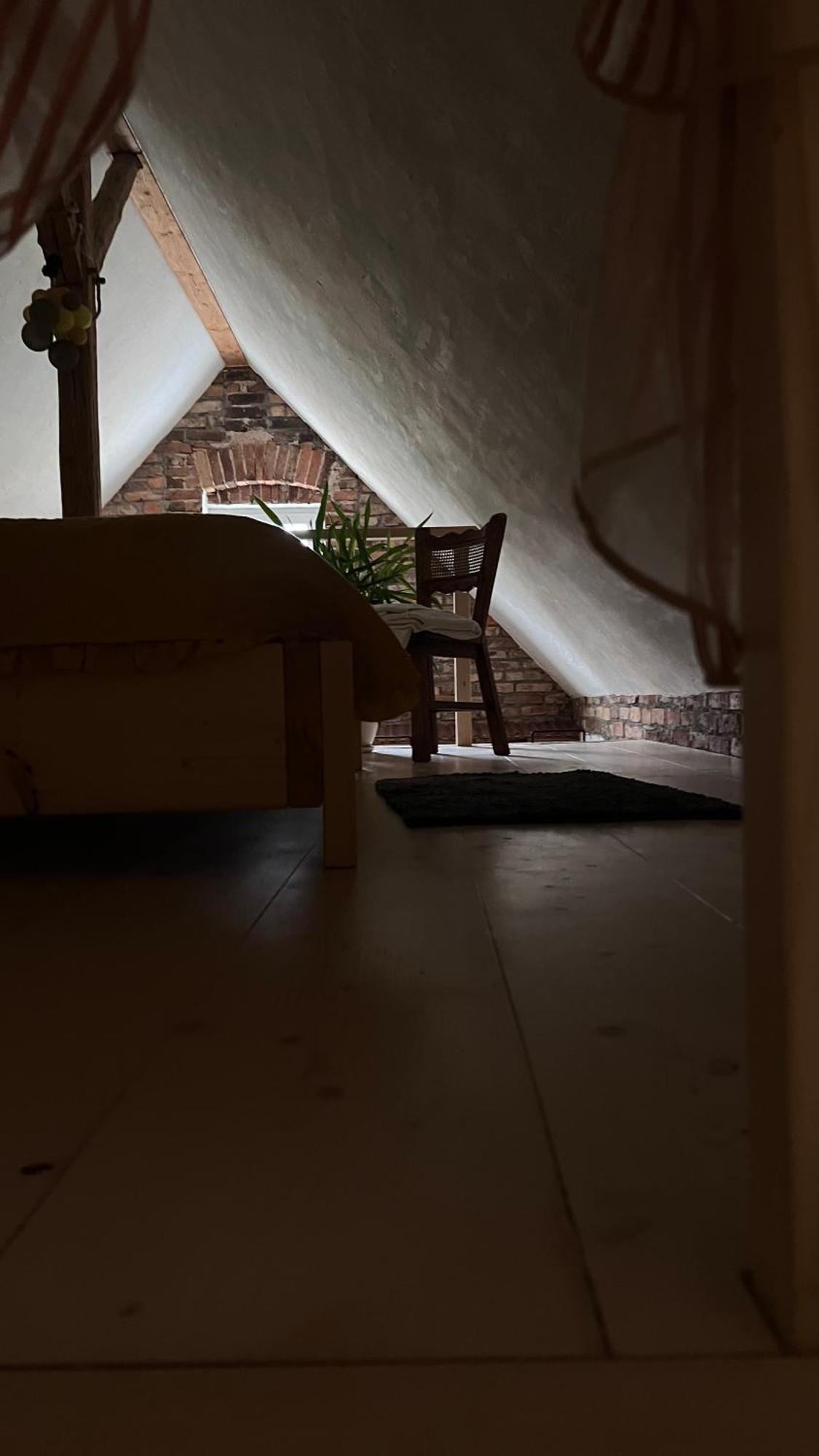 Apartamenty 3 Pory Roku Komarno Extérieur photo